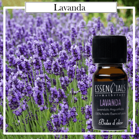 Aceite Essencials Bruma Aromatherapy Boles D`Olor 10ml Lavanda. Ideales para utilizarlos en los Brumizadores /Quemadores. Aromaterapia PARA TU HOGAR.