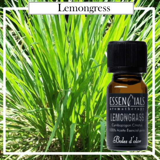 Aceite Essencials Bruma Aromatherapy Boles D`Olor 10ml Lemongrass. Ideales para utilizarlos en los Brumizadores /Quemadores. Aromaterapia PARA TU HOGAR.