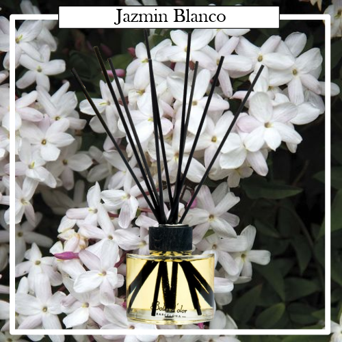 Ambientador Mikado Blak Edition 125 ml Boles de D´Olor, una forma elegante de aromatizar tu hogar. Perfuma hasta más de 2 meses tu hogar