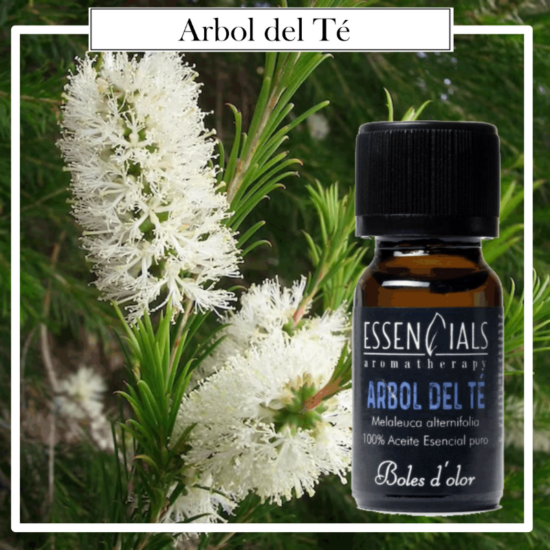 Aceite Essencials Bruma Aromatherapy Boles D`Olor 10ml Árbol del Te. Ideales para utilizarlos en los Brumizadores /Quemadores. Aromaterapia PARA TU HOGAR.