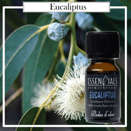 Aceite Essencials Bruma Aromatherapy Boles D`Olor 10ml Eucalyptus. Ideales para utilizarlos en los Brumizadores /Quemadores. Aromaterapia PARA TU HOGAR.