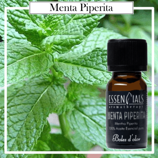 Aceite Essencials Bruma Aromatherapy Boles D`Olor 10ml Menta Piperita .Ideales para utilizarlos en los Brumizadores /Quemadores. Aromaterapia PARA TU HOGAR.