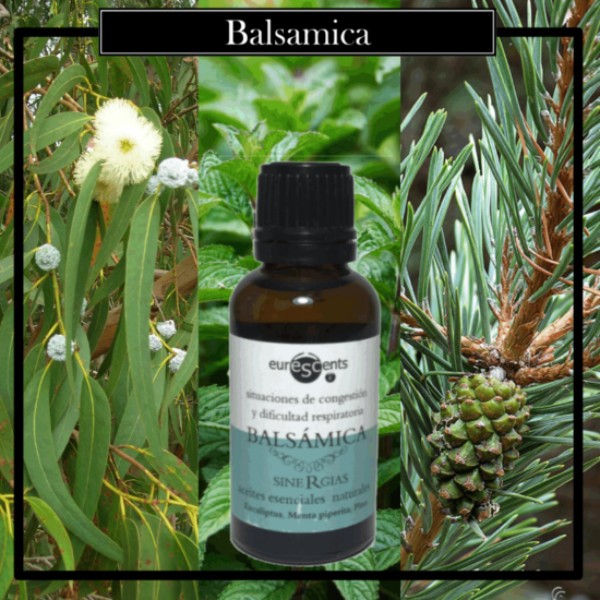 Aceites Brumas Sinergias 100% Natural 30ml Balsámica. Ideales para utilizarlos en los Brumizadores /Quemadores. Aromaterapia PARA TU HOGAR.