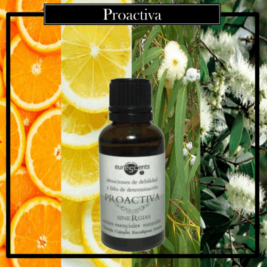 Aceites Brumas Sinergias 100% Natural 30ml Proactiva. Ideales para utilizarlos en los Brumizadores /Quemadores. Aromaterapia PARA TU HOGAR.