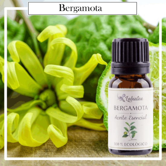 Aceite Natural Puro 100% Bio Ecológico Bergamota (Citrus bergamia). La concentración de las esencias extraídas de la madre naturaleza.