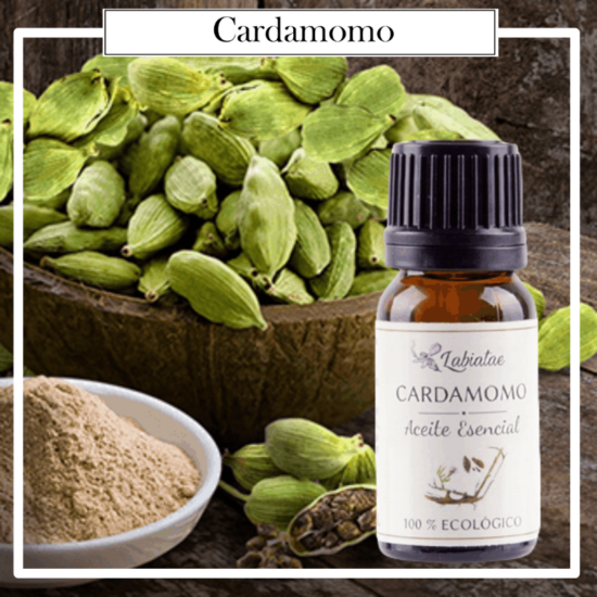 Aceite esencial 100% puro y ecológico de Cardamomo (Elettaria cardamomum). La concentración de las esencias extraídas de la madre naturaleza.