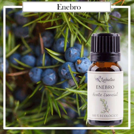 Aceite Natural Puro 100% Bio Ecológico Enebro (Juniperus communis). La concentración de las esencias extraídas de la madre naturaleza.