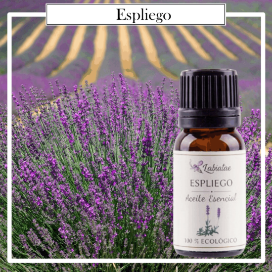 Aceite Natural Puro 100% Bio Ecológico Espliego (Lavandula Latifolia). La concentración de las esencias extraídas de la madre naturaleza.