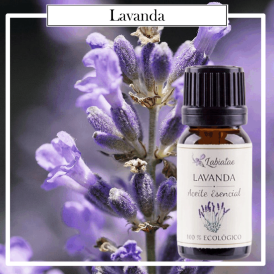 Aceite Natural Puro 100% Bio Ecológico Lavanda (Lavandula angustifolia). La concentración de las esencias extraídas de la madre naturaleza.