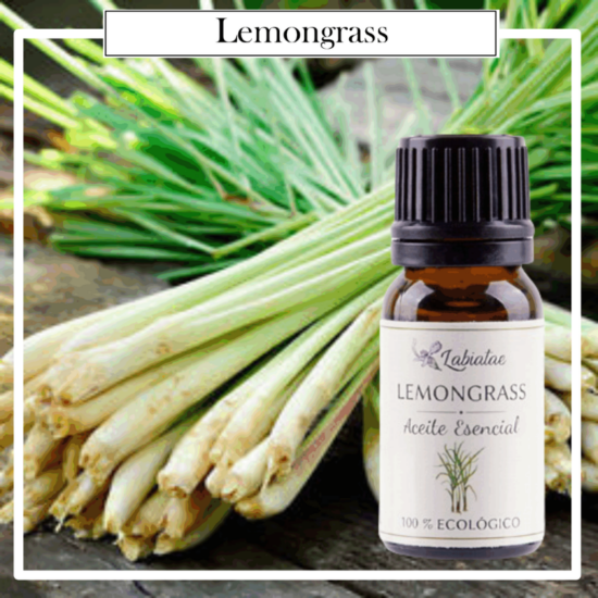 Aceite Natural Puro 100% Bio Ecológico Lemongrass (Cymbopogon citratus). La concentración de las esencias extraídas de la madre naturaleza.