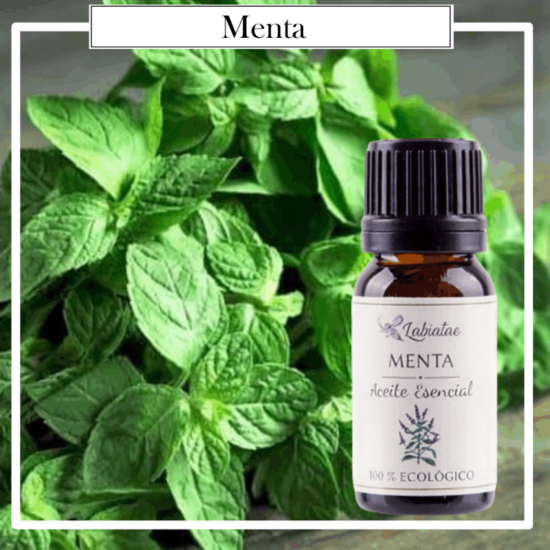 Aceite Natural Puro 100% Bio Ecológico Menta (Mentha piperita). La concentración de las esencias extraídas de la madre naturaleza.