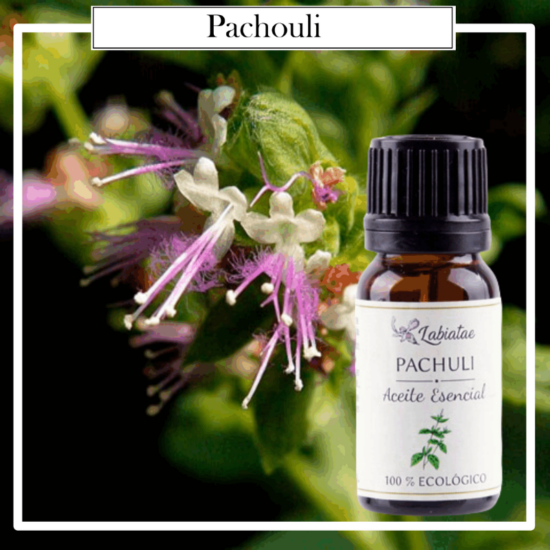 Aceite Natural Puro 100% Bio Ecológico Pachuli (Pogostemon patchouli). La concentración de las esencias extraídas de la madre naturaleza.