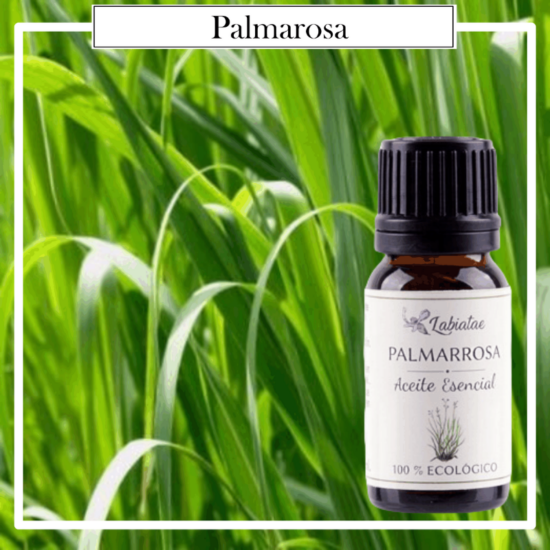 Aceite Natural Puro 100% Bio Ecológico Palmarosa (Cymbopogon martinii). La concentración de las esencias extraídas de la madre naturaleza.