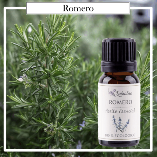 Aceite Natural Puro 100% Bio Ecológico Romero (Rosmarinus officinalis). La concentración de las esencias extraídas de la madre naturaleza.