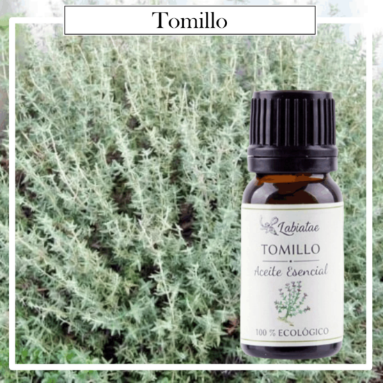 Aceite Natural Puro 100% Bio Ecológico Tomillo (Thymus zygis). La concentración de las esencias extraídas de la madre naturaleza.