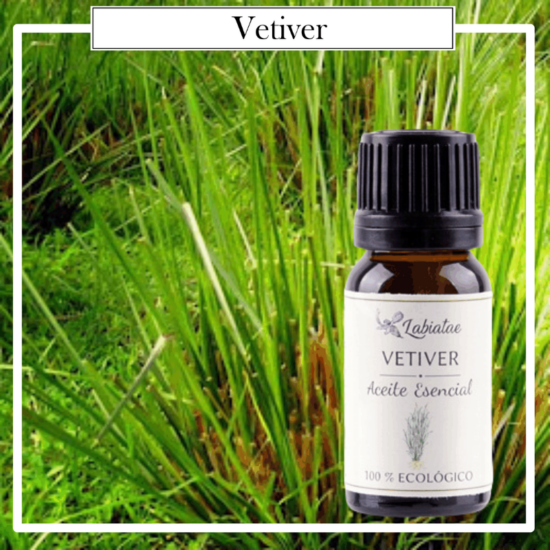 Aceite Natural Puro 100% Bio Ecológico Vetiver (Vetiveria zizanoides). La concentración de las esencias extraídas de la madre naturaleza.