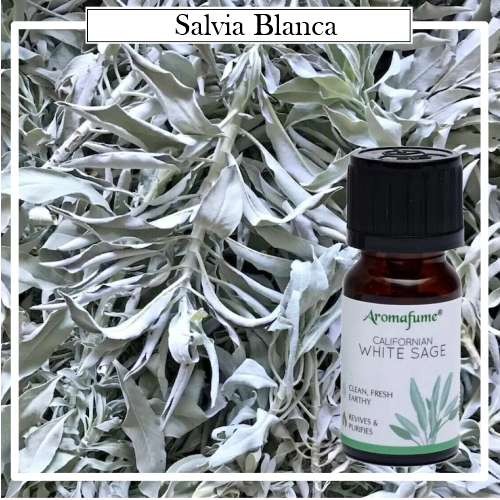 Aceite Esencial Sinergia 100% Natural Salvia Blanca. Mezcla de aceites esenciales ofrece todos los beneficios de la difuminación, pero sin el humo