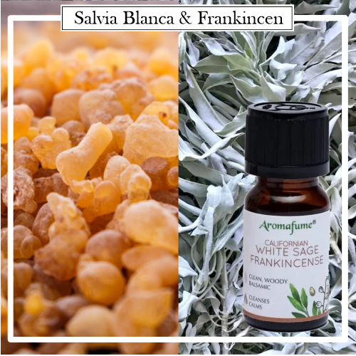 Aceite Esencial Sinergia 100% Natural Salvia Blanca & Franquincense. Mezcla de aceites esenciales ofrece todos los beneficios de la difuminación, pero sin el humo