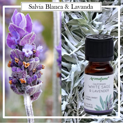 Aceite Esencial Sinergia 100% Natural Salvia Blanca & Lavanda. Mezcla de aceites esenciales ofrece todos los beneficios de la difuminación, pero sin el humo