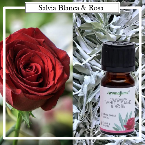 Aceite Esencial Sinergia 100% Natural Salvia Blanca & Rosa. Mezcla de aceites esenciales ofrece todos los beneficios de la difuminación, pero sin el humo