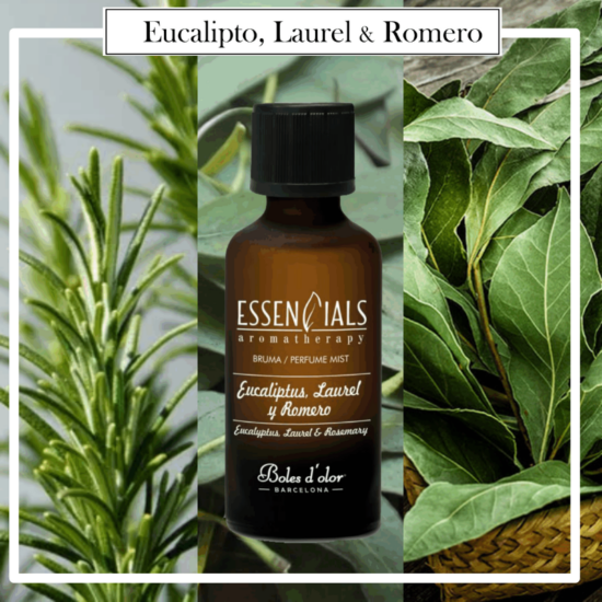 Brumas Essencials Boles d´Olor 50 ml. Eucalipto, Laurel y Romero. Ideales para utilizarlos en los Brumizadores / Humidificadores. Aromaterapia PARA TU HOGAR.