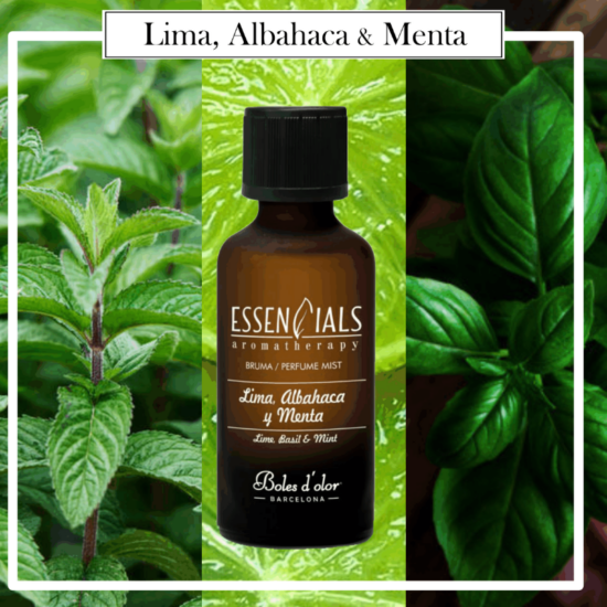 Brumas Essencials Boles d´Olor 50 ml Lima, Albahaca y Menta. Ideales para utilizarlos en los Brumizadores / Humidificadores. Aromaterapia PARA TU HOGAR.