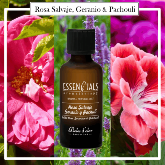 Brumas Essencials Boles d´Olor 50 ml Rosa Salvaje, Geranio y Pachouli. Ideales para utilizarlos en los Brumizadores / Humidificadores. Aromaterapia PARA TU HOGAR.