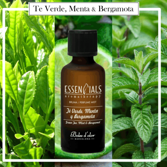 Brumas Essencials Boles d´Olor 50 ml Te verde, Menta y Bergamota. Ideales para utilizarlos en los Brumizadores / Humidificadores. Aromaterapia PARA TU HOGAR.