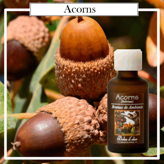 Brumas Ambientes Boles d´Olor 50 ml. Acorns. Ideales para utilizarlos en los Brumizadores / Humidificadores. Aromaterapia PARA TU HOGAR.