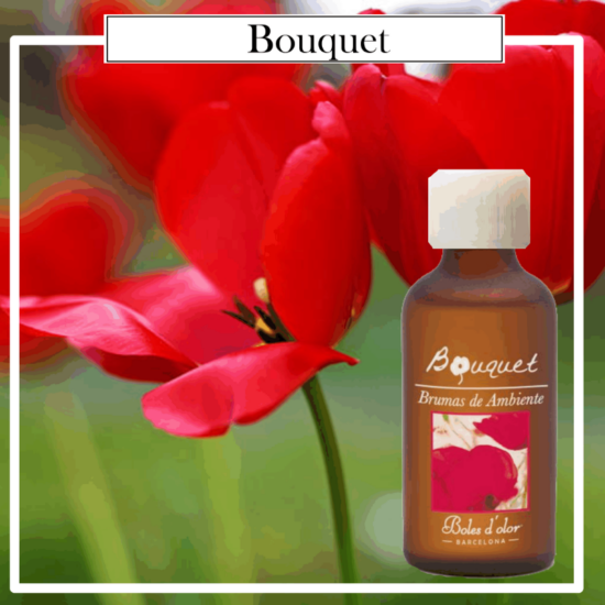 Brumas Ambientes Boles d´Olor 50 ml. Bouquet. Ideales para utilizarlos en los Brumizadores / Humidificadores. Aromaterapia PARA TU HOGAR.