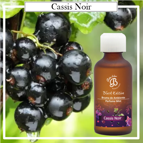 Brumas Ambientes Boles d´Olor 50 ml. Cassis Noir. 50 ml. Ideales para utilizarlos en los Brumizadores / Humidificadores. Aromaterapia PARA TU HOGAR.