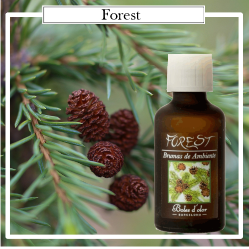 Brumas Naturales Boles d´Olor Forest, 50 ml. Ideales para utilizarlos en los Brumizadores / Humidificadores. Aromaterapia PARA TU HOGAR.