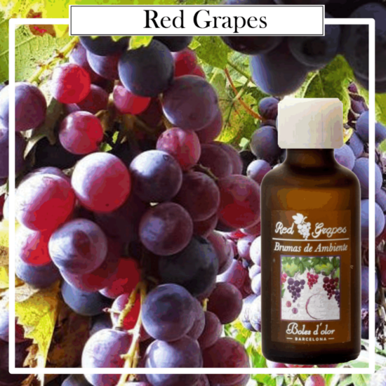 Brumas Ambientes Boles d´Olor 50 ml. Red Grapes. Ideales para utilizarlos en los Brumizadores / Humidificadores. Aromaterapia PARA TU HOGAR.