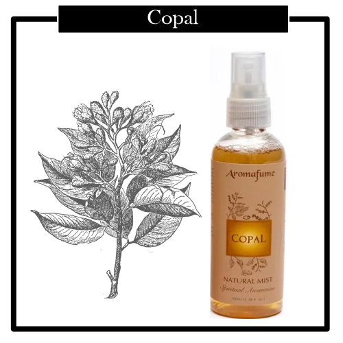 Aceite Spray Nebulizador Copal, limpiar tu hogar de la energía negativa estancada. Aroma muy ligero y agradable. NUEVAS ENERGIAS