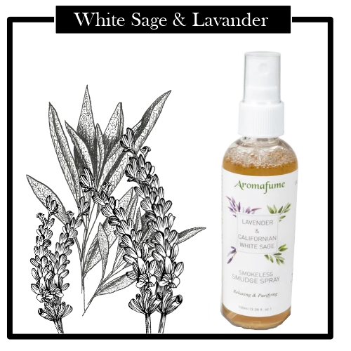 Aceite Spray Nebulizador White Sage & Lavanda, limpiar tu hogar de la energía negativa estancada. Aroma muy ligero y agradable. NUEVAS ENERGIAS