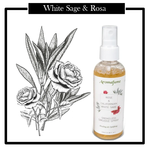 Aceite Spray Nebulizador White Sage & Rosa, limpiar tu hogar de la energía negativa estancada. Aroma muy ligero y agradable. NUEVAS ENERGIAS