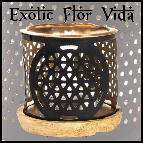 Quemador Difusor Exótico Incienso Solido Flor Vida. Lamparilla especialmente elaborada para los inciensos solidos macerados, con un resultado inmejorable.