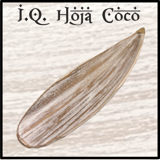 Incensario natural de hoja de Coco, pintado a mano. Ideal para trabajar inciensos en formato varillas. Grande, práctico y decorativo. ARTESANIA INDIA.