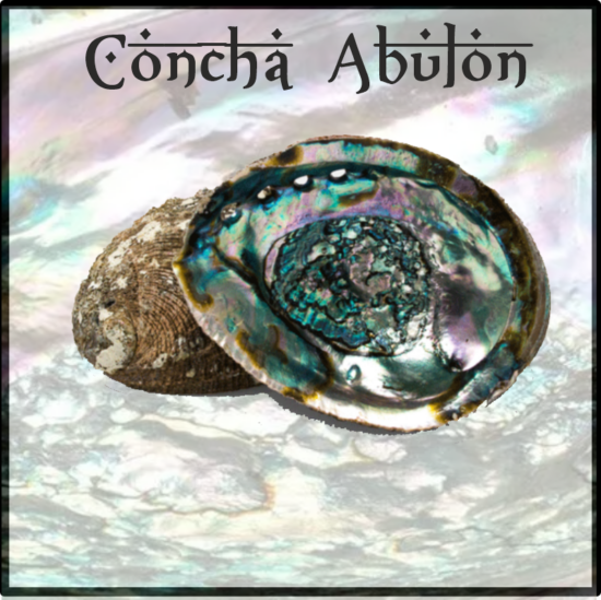 Concha Abulon, incensario natural, un recurso sostenible de la madre naturaleza. Ideal para hacer la ceremonia de unión MAR-TIERRA.